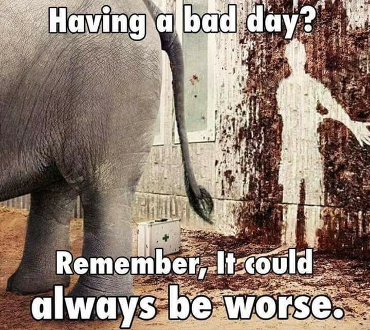 bad day funny