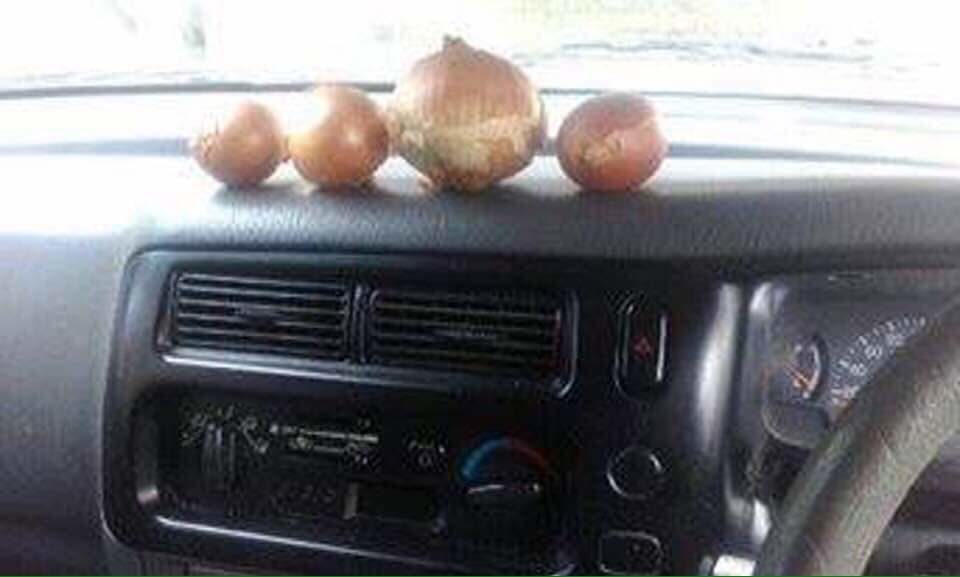 I've been meeting the car dash onions 😀